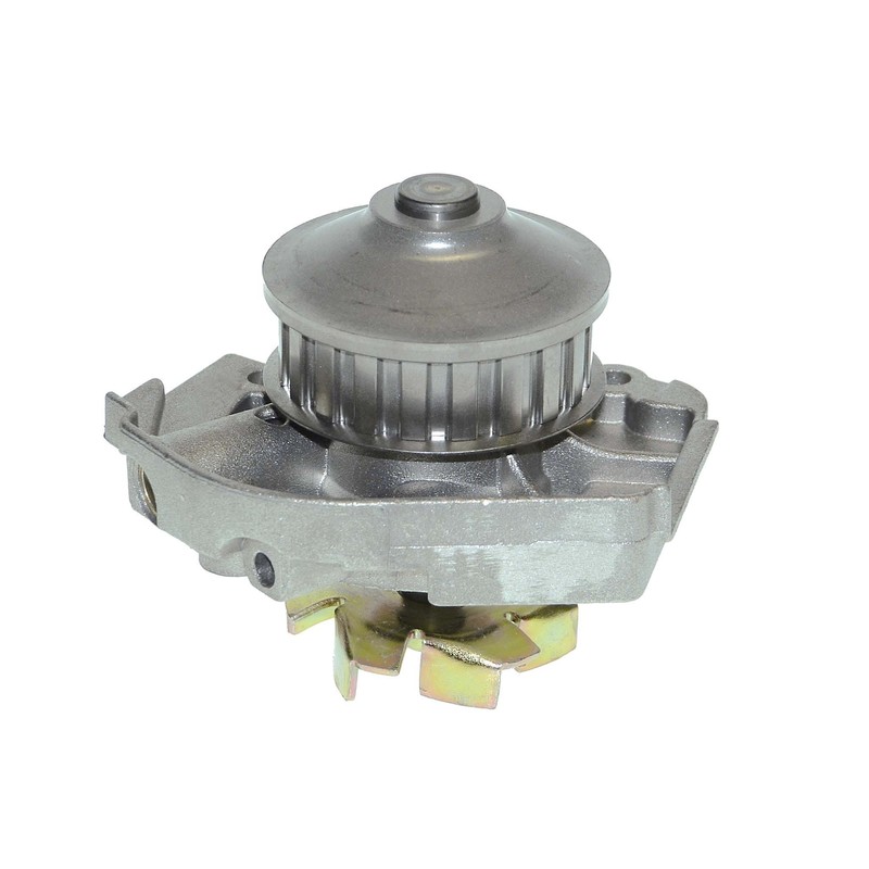 Saleri SIL PA467A Wasserpumpe