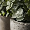 6 Pack Fake Plants Succulents Eucalyptus Small Cement Pots Indoor