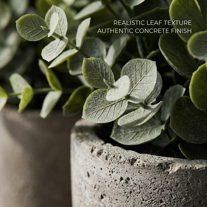 6 Pack Fake Plants Succulents Eucalyptus Small Cement Pots Indoor