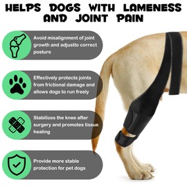 Dog Knee Brace for Support Cruciate Ligament Injury, Joint Pain And Muscle Sore, Dog Leg Brace for ACL Support, Reduces Pain and Inflammation, Adjustable Pet Brace with 10 Side Stabilizers (L)