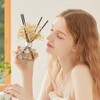 COCODOR Preserved Flower Reed Diffuser/White Jasmine/6.7oz/2Pack / Home Fragrance Scent