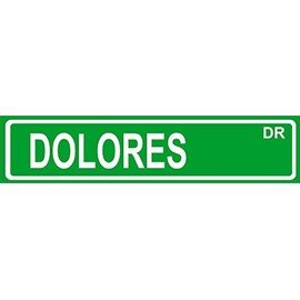 DOLORES Green Aluminum Street sign 4"x18" great DÃ©cor for any room girls name