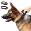 PET ARTIST Genuine Leather Dog Collar for Walking & Training,