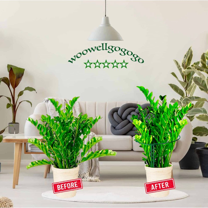WooWellGoGoGo 8 Pack Snake Plant Support Stakes - Rust-Proof Half