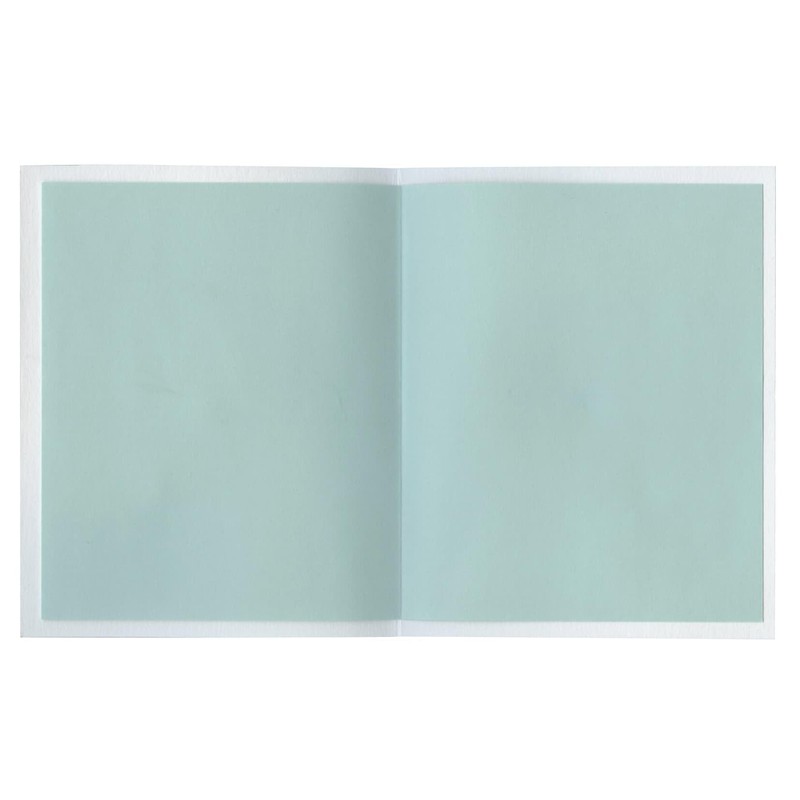 Lab Clip Card Mizuiki Works Message Card Green MWMC02-S2