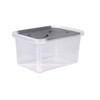 School Storage Box with Hinged Interlocking Lid - 3 Quart