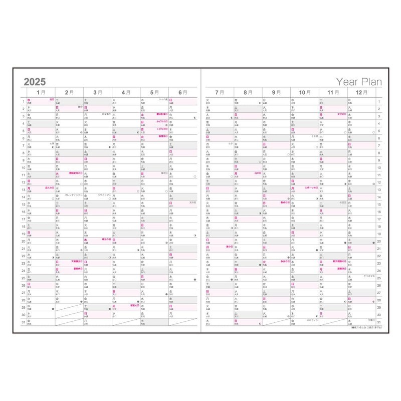 Logical Diary 2025 Monthly Notebook Type A/B5/Camping NS-B502-25AS1