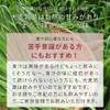 nichie Young Barley Leaves 100% Green Soup, Made in Kyushu,