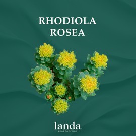 Landa Adaptogenos LANDA | Extracto de Rhodiola Rosea | Orgánica 10:1 | Potente Adaptógeno para Reducir el Estrés | Aumentar la Energía | Mejorar el Estado de Ánimo | Certificado Orgánico | Libre de GMO