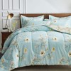 Joyreap 6 Piece Bed in a Bag Twin, Aqua Floral