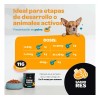 Strong Growth Suplemento Perros Gatos Polvo 350g Pets