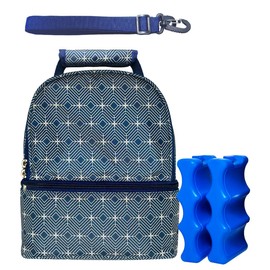 Breastmilk Cooler Bag, with 2 Ice Packs, Breast Milk Cooler Travel Bag, Fits 6 Bottle Bag, with Shoulder Strap, Baby Bottle Cooler Bag, Breastmilk Cooler, Daycare Bag