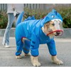 Dog Raincoat with Hood & Collar Hole & Safe Reflective