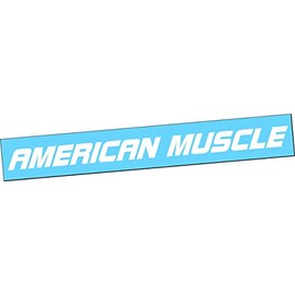 AMERICAN MUSCLE 42" Windshield Vinyl Decal Sticker Turbo Boost Car Truck Drift