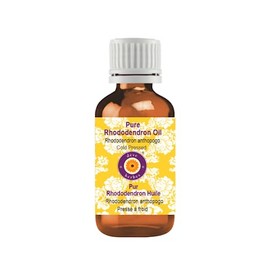 Deve Herbes Aceite esencial de rododendro puro (Rhodendron anthopogo) destilado al vapor natural grado terapéutico 10 ml (0.33 onzas)