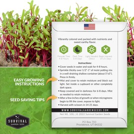 1 Pack Beet Microgreens Seeds for Planting and Growing - Plant Green Leafy Micro Vegetable Plants Indoors - Grow Your Own Mini Windowsill Garden - Non-GMO Heirloom - Survival Garden Seeds