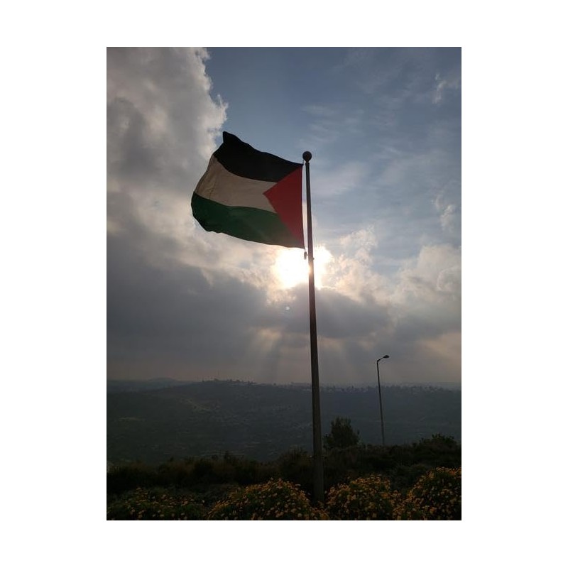 Palestinian flag 3x5 FT Palestine flag Polyester outdoor indoor Canvas