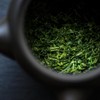 Sencha Green Tea, Classic Aromatic Green Tea for Daily Enjoyment