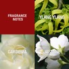 Paul Sebastian DESIGN Perfume For Women, Gift for Her, Day