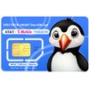 Spectrum Smart Data Only SIM Card: for Security Cameras, Trail