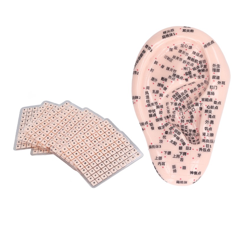 17cm Ear Point Probe 600pcs Auricular Patches Silicone Ear Model