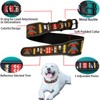 Dog Collar, Reflective Dog Collar Adjustable Dog Collar Heavy Duty