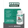 VITOFARMA VITAMINA HORMONAL para GALLOS Finos TESTO Powerful 100 TABLETAS