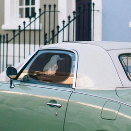 Mr. & Mrs. Panda Auto Sonnenschutz Schnabeltier Mut - Geschenk, Sonnenblende, Schnabeltiere, Sonnenschutz Auto Seitenscheibe, mutig, Sonnenschutz