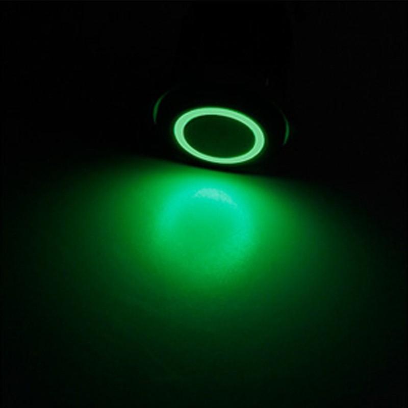E Support 16mm 12V 3A Car Green LED Light Angel
