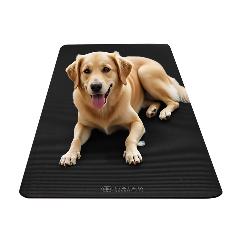 Gaiam Essentials Thick Yoga Mat Fitness & Exercise Mat with