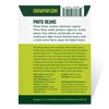 Organic Pinto Bean Seeds - USDA Organic, Non-GMO, Open Pollinated,