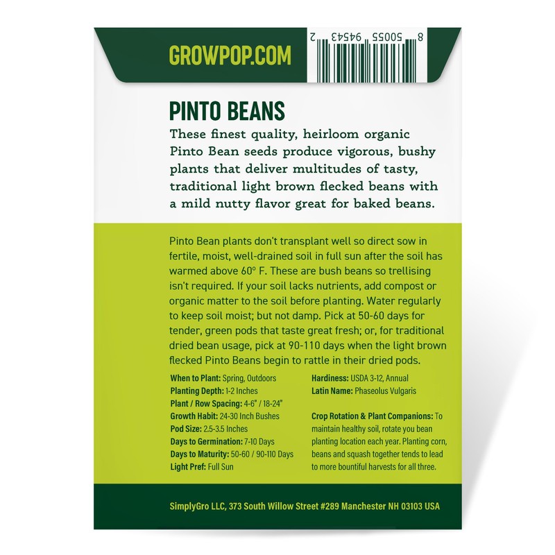 Organic Pinto Bean Seeds - USDA Organic, Non-GMO, Open Pollinated,