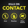 Raid Ant & Roach Killer 26, Fragrance Free Bug Killer