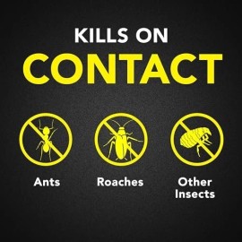 Raid Ant & Roach Killer 26, Fragrance Free Bug Killer for Home Use, Kills...