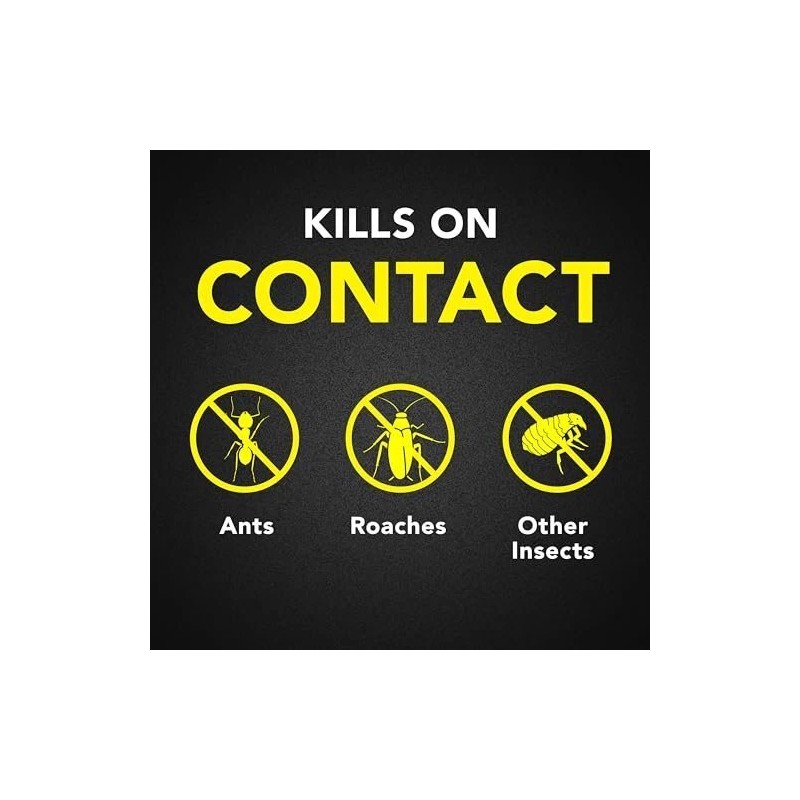 Raid Ant & Roach Killer 26, Fragrance Free Bug Killer