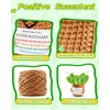 JELUTAR Crochet Positive Succulent Plant Thank You Gifts for Birthday