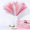 MUUNC Pink Pampas Grass Decor 30 Pcs 21.7 Inch Faux