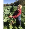 Hale Habitat & Seed Sugar Beet Food Plot Seed, 5
