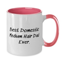 Generic Epic Domestic Medium Hair Cat Two Tone 11oz Mug, Best Domestic Medium, Present For Cat Lovers, Motivational Gifts From Friends, Domestic medium hair cat present gift ideas, Unique domestic medium hair