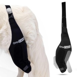 Ortocanis - Knee Brace for Dogs with Ligament Rupture and Patella Luxation, Size Mini, Left Leg