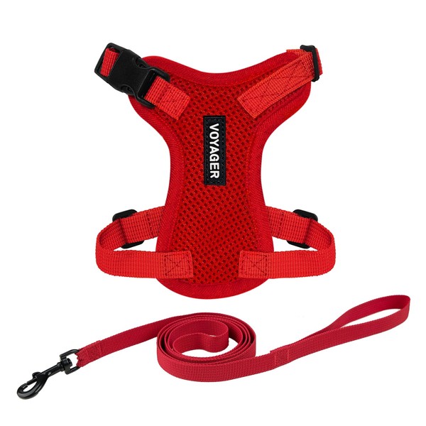 Voyager Step-In Lock Adjustable Cat Harness with Cat Leash Combo