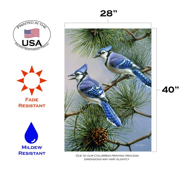 Toland Home Garden Blue Jay Duet 28 x 40 Inch Decorative Fall Winter Bird Pine Tree House Flag - 1010433