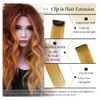 Clip-In Hair Extension Highlights Streaks x 2 (Brown)