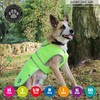 Ancol Muddy Paws All Weather Stormguard Coat . Hi-Vis. Size