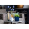 Capi Europe - Flower Pot Ball Groove Colours - 9