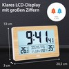 ADE Digital XL Radio-Controlled Clock with Very Large Numbers |