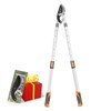 AIRAJ 27-41'' Extendable Anvil Loppers Heavy Duty with Compound Action,