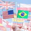 Anley Assorted 100 Different Countries Toothpick Flag Double Sided &