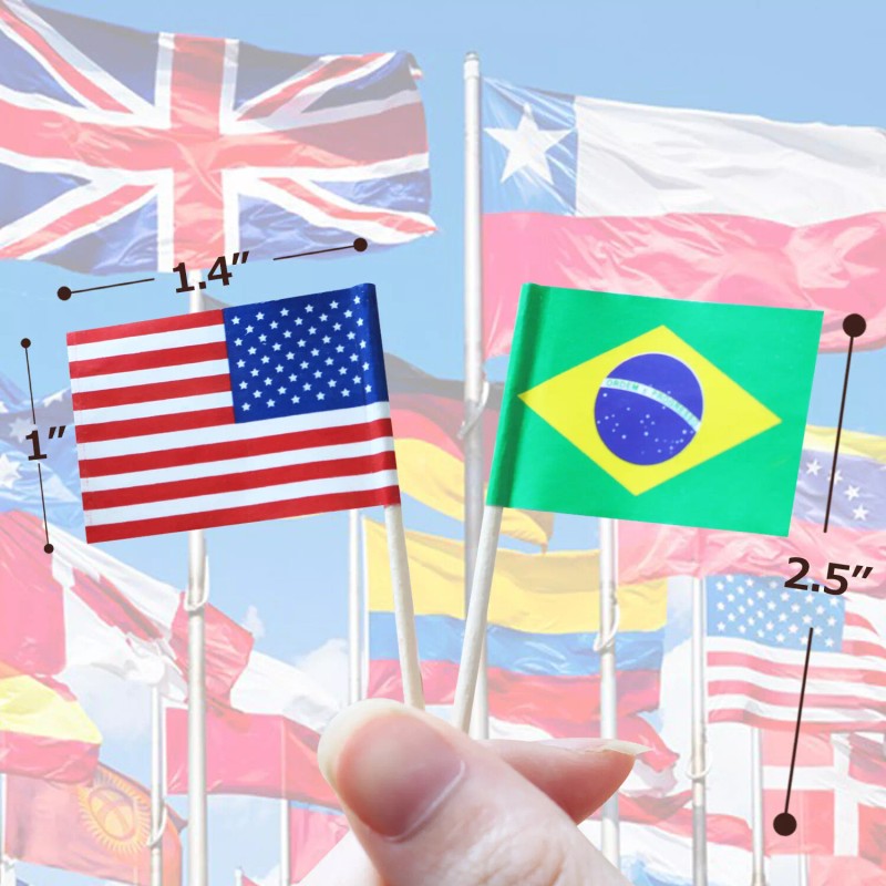 Anley Assorted 100 Different Countries Toothpick Flag Double Sided &