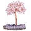 Nupuyai Natural Crystal Money Tree Wrapped on Amethyst Cluster Crystal